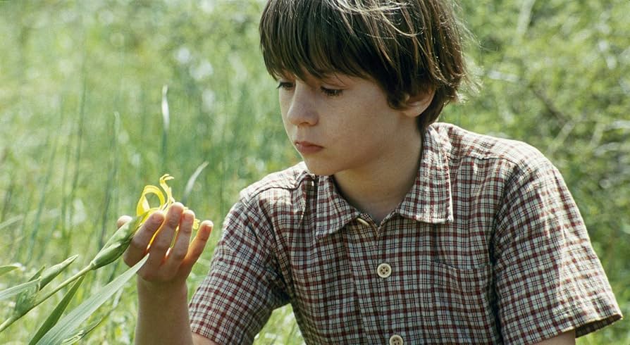 Amazon.co.jp | Das Wunder der Natur DVD・ブルーレイ